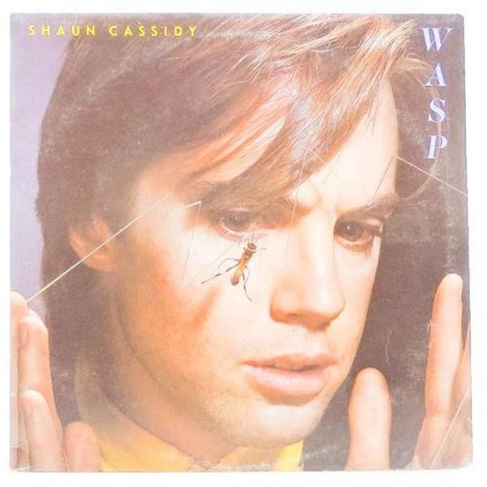 Пластинка Shaun Cassidy Wasp